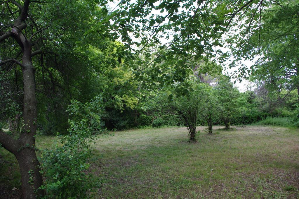 Chateau Le Vergel Authenac Ginestas Номер фото