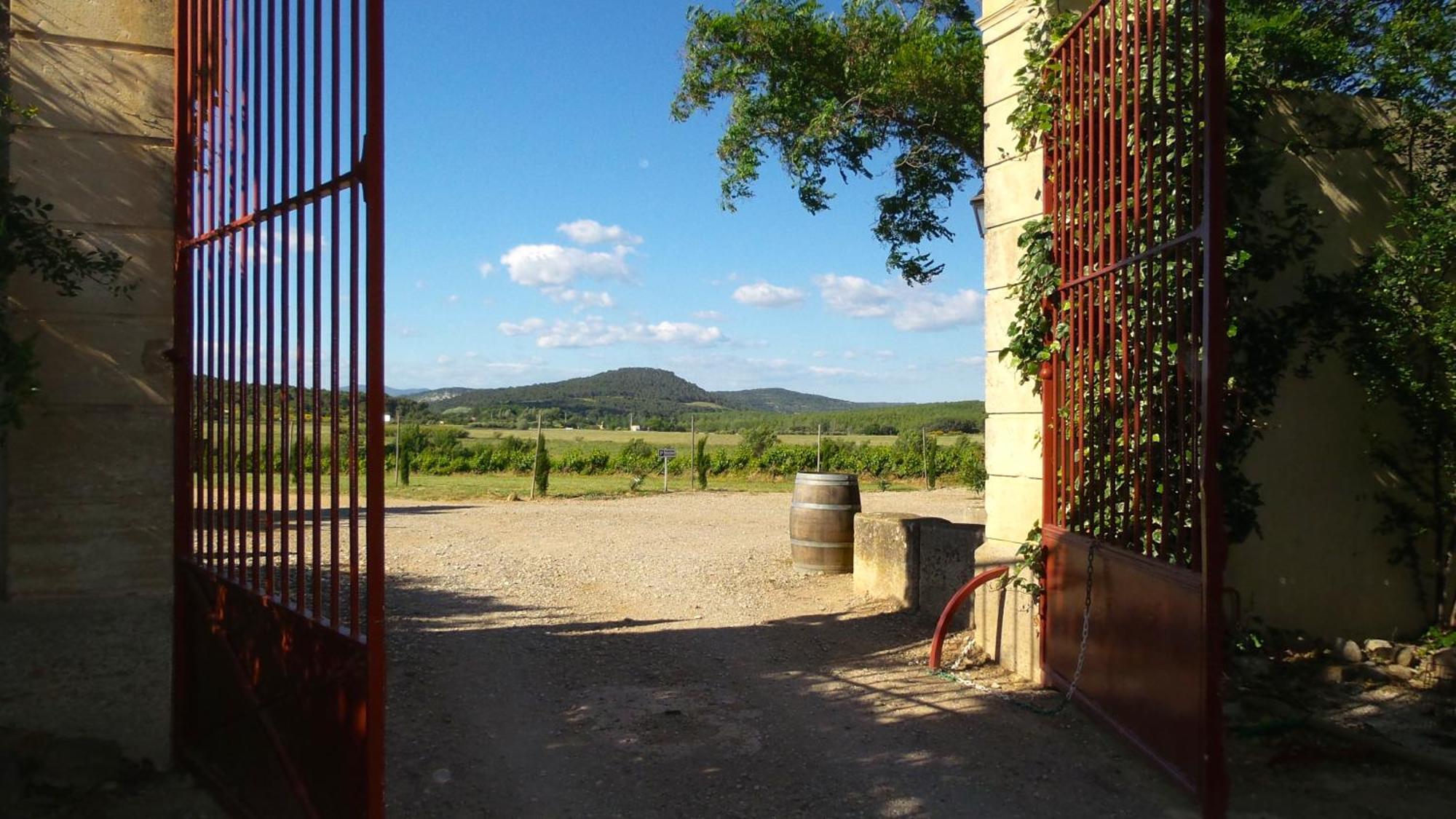 Chateau Le Vergel Authenac Ginestas Номер фото